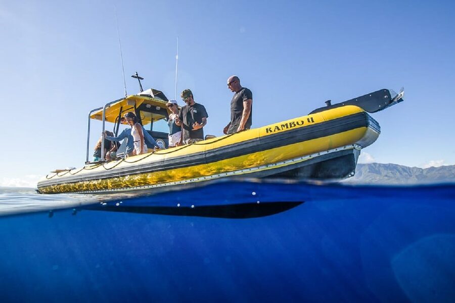 Oahu: North Shore Snorkeling Tour from Haleiwa - What you may see beneath the North Shore water
