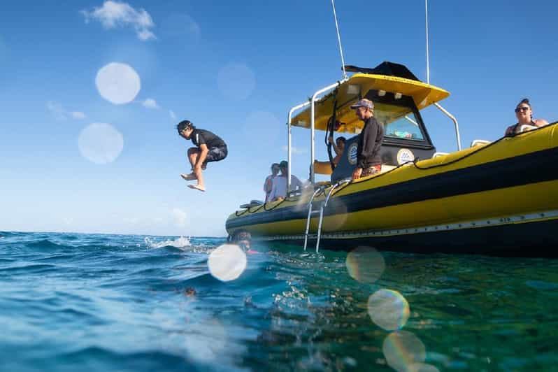 Oahu: North Shore Snorkeling Tour from Haleiwa - A closer look at the guides and crew