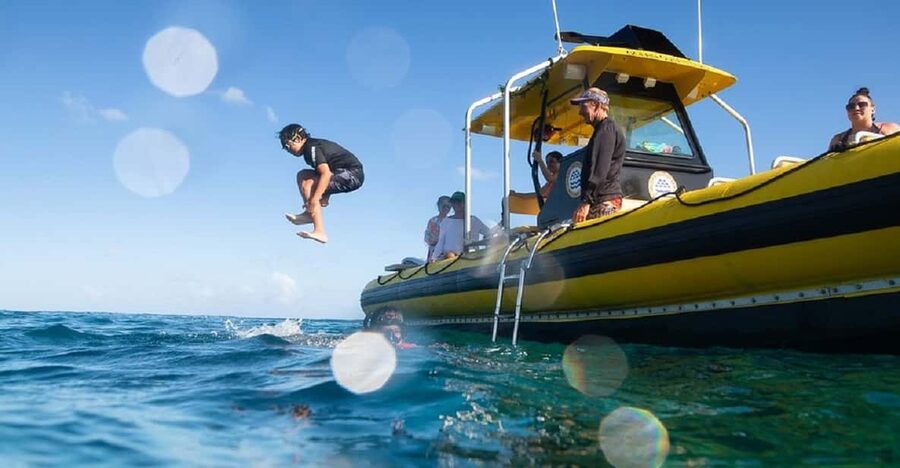 Oahu: North Shore Snorkeling Tour from Haleiwa - How physically demanding is the trip?