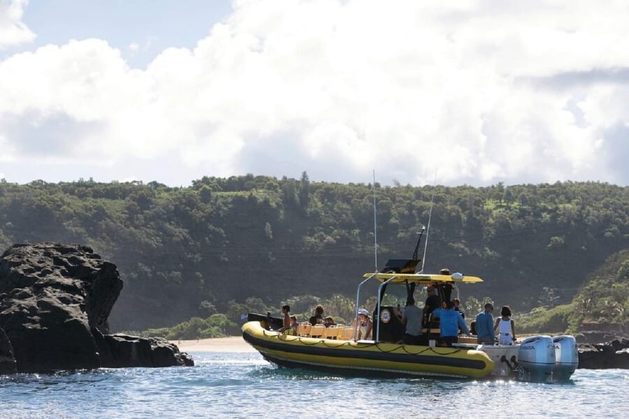 Oahu: North Shore Snorkeling Tour from Haleiwa - Tips for making the day work