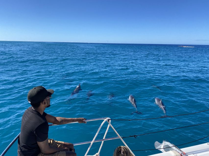 Oahu: Private Turtle Snorkeling with Customizable Itinerary - Waikiki and the chance for wildlife sightings