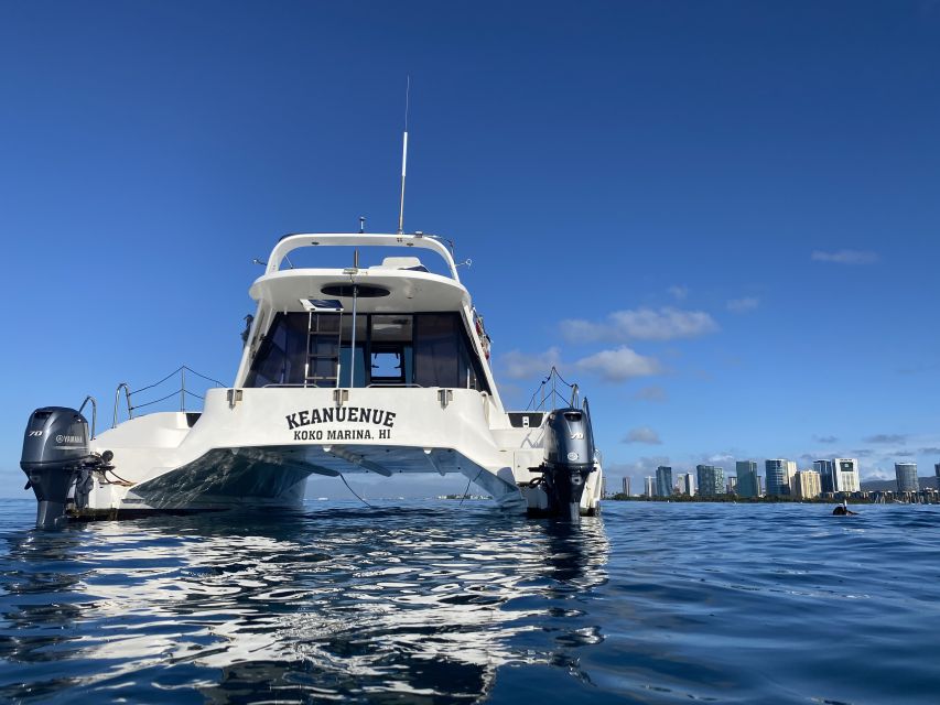 Oahu: Private Turtle Snorkeling with Customizable Itinerary - The best timing, comfort, and safety choices