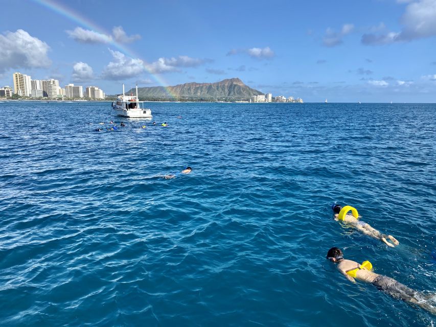 Oahu: Private Turtle Snorkeling with Customizable Itinerary - Leaving Kewalo Basin Harbor for Diamond Head