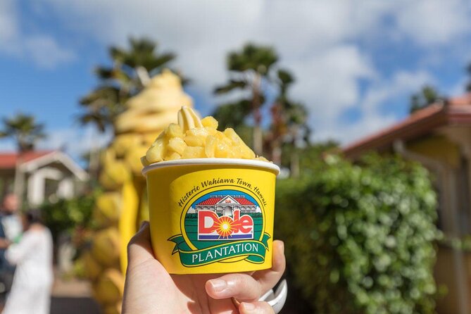 Oahu's Ultimate Tour: Dole, Turtle Snorkel, Pali Lookout & More - Nuʻuanu Pali and the windward coast