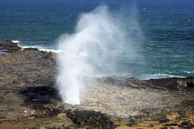 Oahu's Ultimate Tour: Dole, Turtle Snorkel, Pali Lookout & More - North Shore views and Haleiwa snorkeling