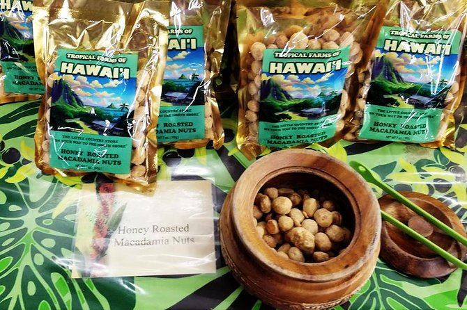Oahu's Ultimate Tour: Dole, Turtle Snorkel, Pali Lookout & More - Guides, buses, and the real value of $108