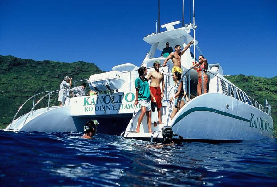 Oahu: Snorkeling & Dolphin Watch Cruise w/ Luau Style Buffet - Key points to know before booking