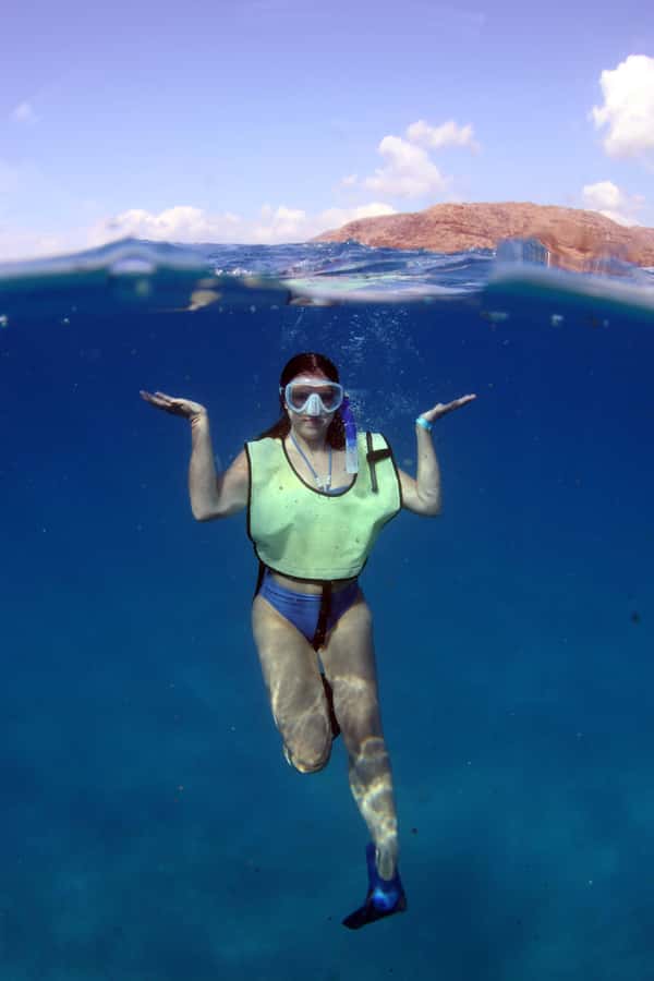 Oahu: Snorkeling & Dolphin Watch Cruise w/ Luau Style Buffet - Dolphin, whale, and turtle watching