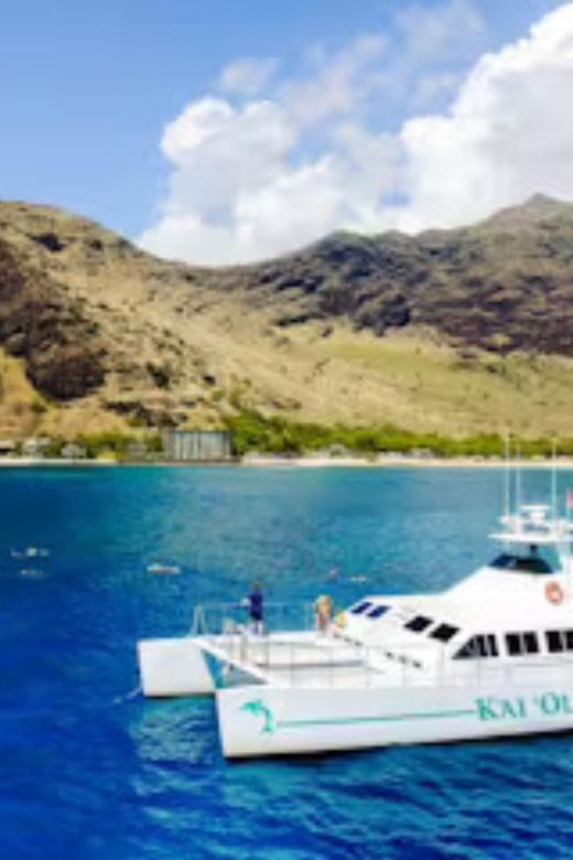 Oahu: Snorkeling & Dolphin Watch Cruise w/ Luau Style Buffet - The Hawaiian buffet is more than a snack