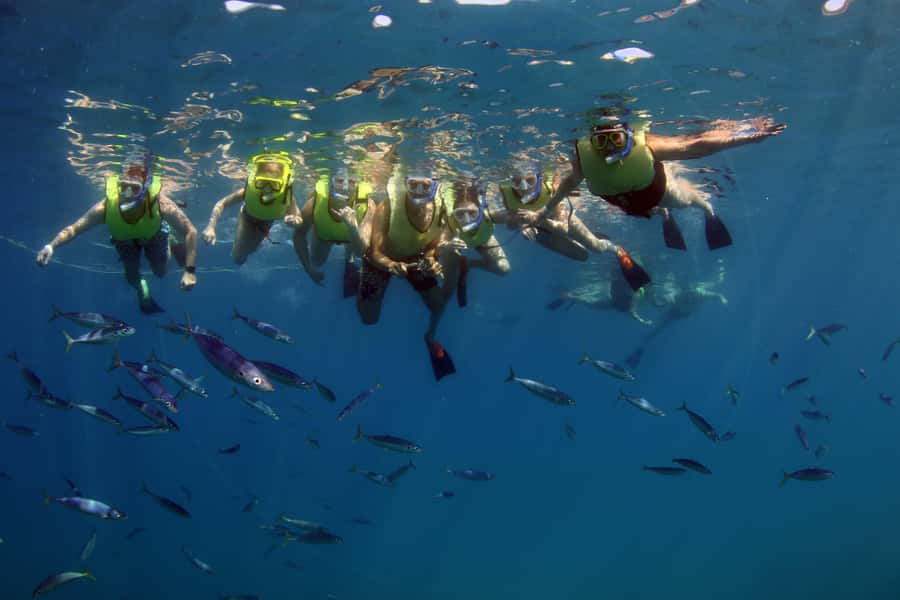 Oahu: Snorkeling & Dolphin Watch Cruise w/ Luau Style Buffet - How much value do you get for $171?