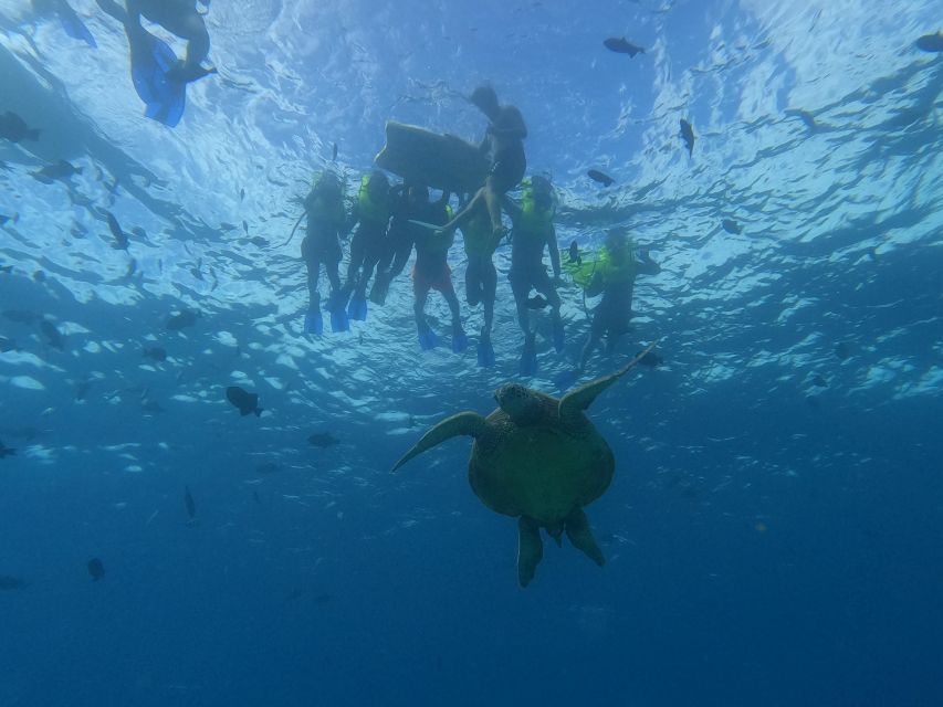Oahu Snorkeling with Turtles, Water Scooter, Paddleboard - Why Turtle Canyon makes sense for a short Oahu tour
