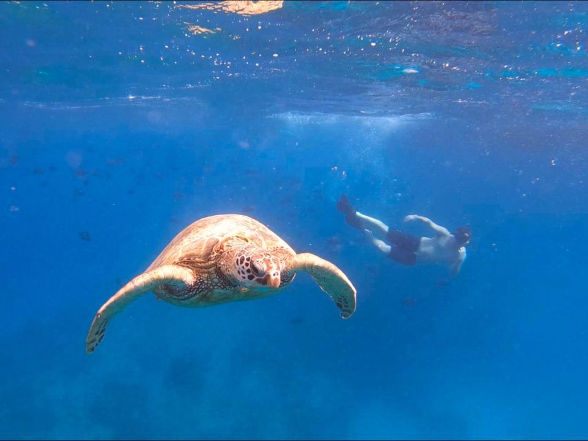 Oahu Snorkeling with Turtles, Water Scooter, Paddleboard - The water scooter: fun, but not a speed machine