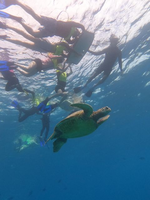 Oahu Snorkeling with Turtles, Water Scooter, Paddleboard - Musubi, noodles, and a welcome warm-up