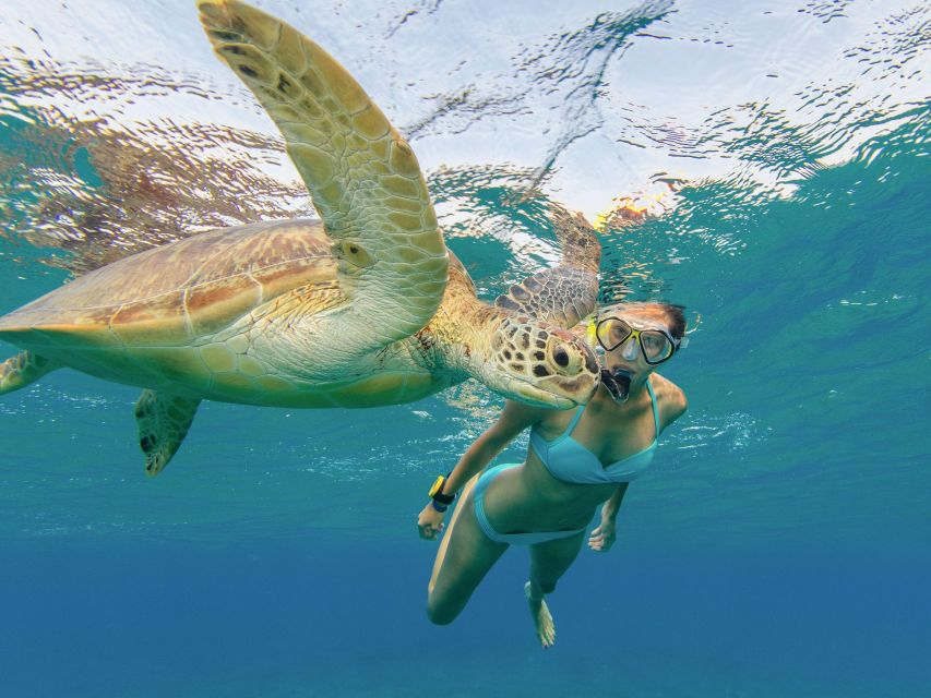 Oahu Snorkeling with Turtles, Water Scooter, Paddleboard - Who will enjoy this experience most?