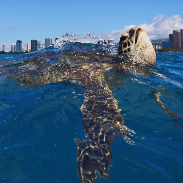 Oahu: Turtle Canyon Snorkeling Boat Tour - The Boat Ride and Diamond Head Views