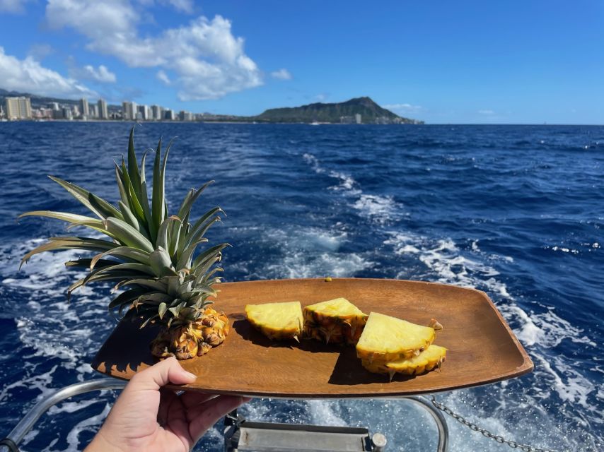 Oahu: Turtle Canyon Snorkeling Boat Tour - Practical Tips Before You Go