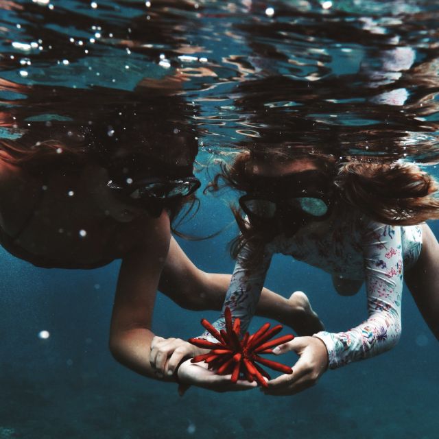 Oahu: Turtle Canyon Snorkeling Boat Tour - A Good Setup for First-Time Snorkelers