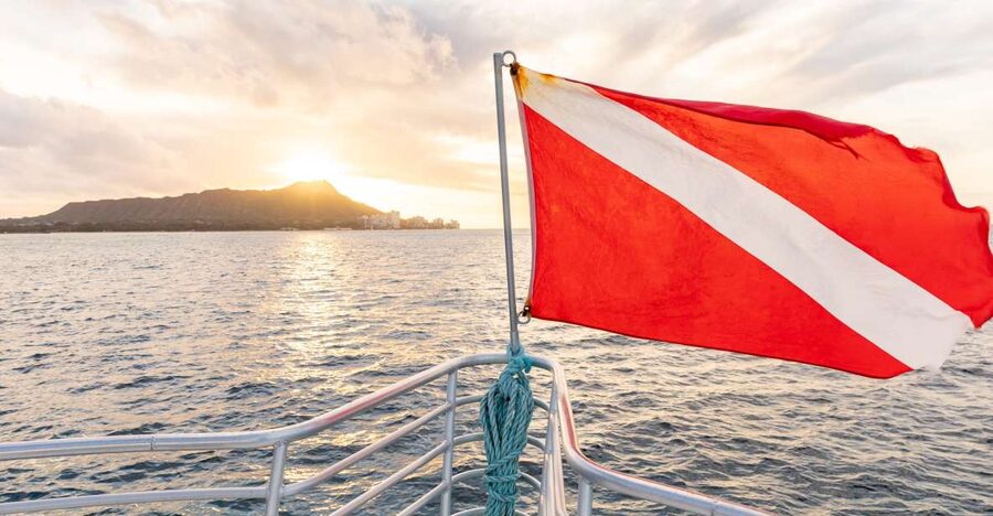 Oahu: Waikiki Turtle Canyons Cruise and Snorkel Excursion - Key things to know before booking