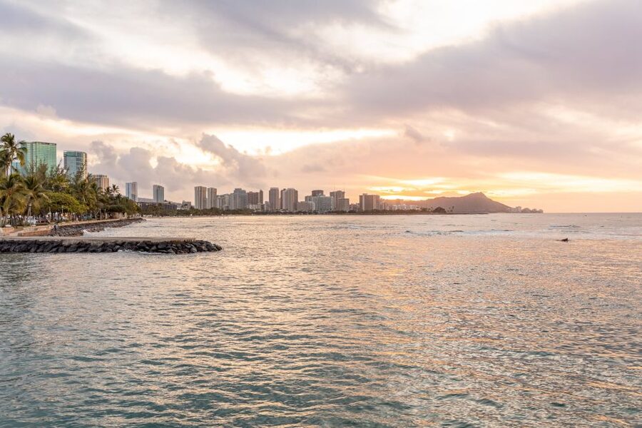 Oahu: Waikiki Turtle Canyons Cruise and Snorkel Excursion - Who should book this Turtle Canyon cruise?