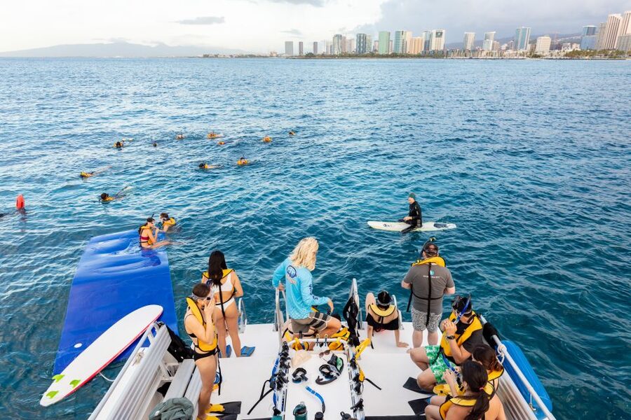 Oahu: Waikiki Turtle Canyons Cruise and Snorkel Excursion - What happens at Turtle Canyon
