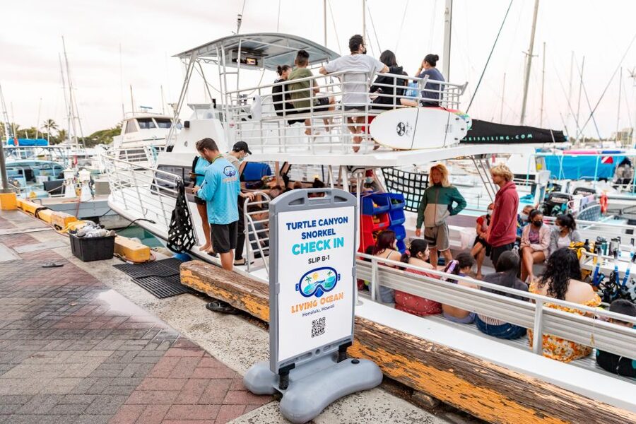 Oahu: Waikiki Turtle Canyons Cruise and Snorkel Excursion - Meeting Hawaii’s green sea turtles