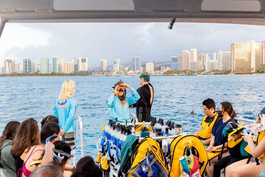 Oahu: Waikiki Turtle Canyons Cruise and Snorkel Excursion - How safe and beginner-friendly is it?