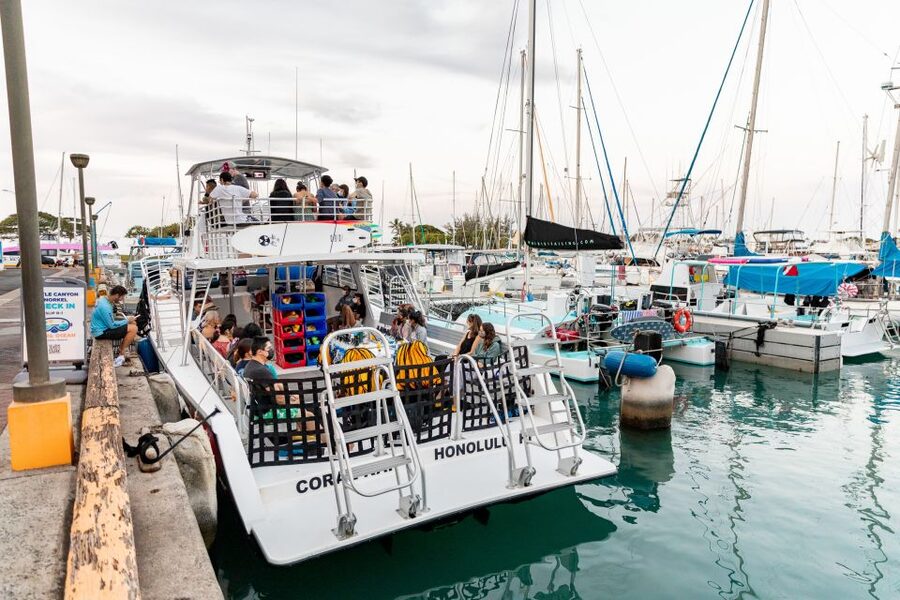 Oahu: Waikiki Turtle Canyons Cruise and Snorkel Excursion - What the $89 price really buys you