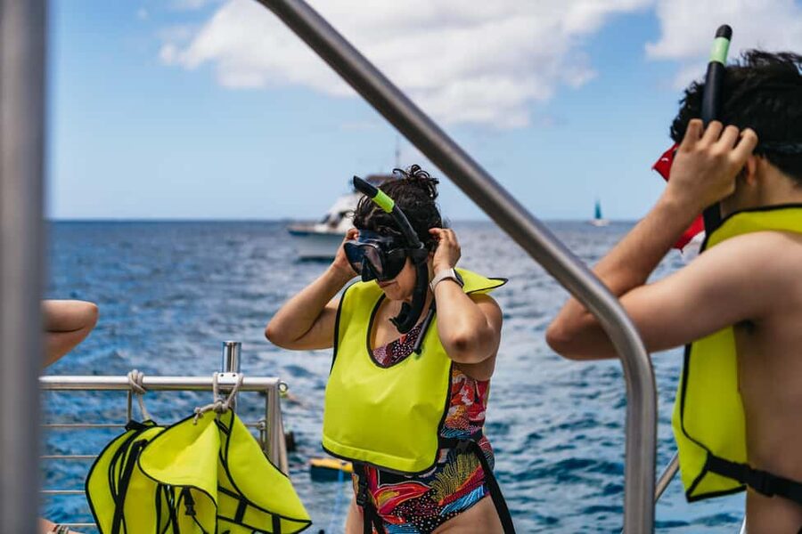Oahu: Waikiki Turtle Snorkel Sail - Key points to know before booking