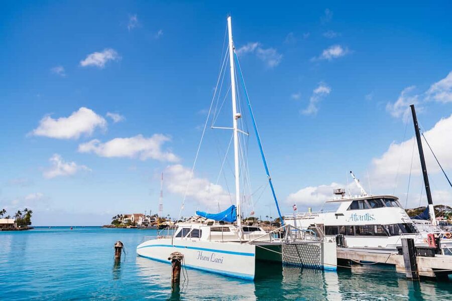 Oahu: Waikiki Turtle Snorkel Sail - From Kewalo Harbor to the Waikiki coast