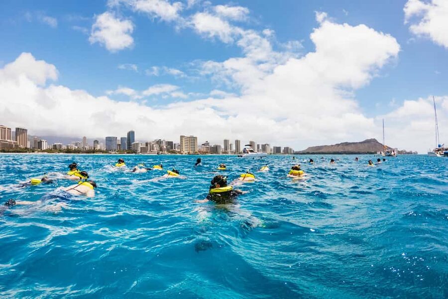 Oahu: Waikiki Turtle Snorkel Sail - What you might see beyond turtles