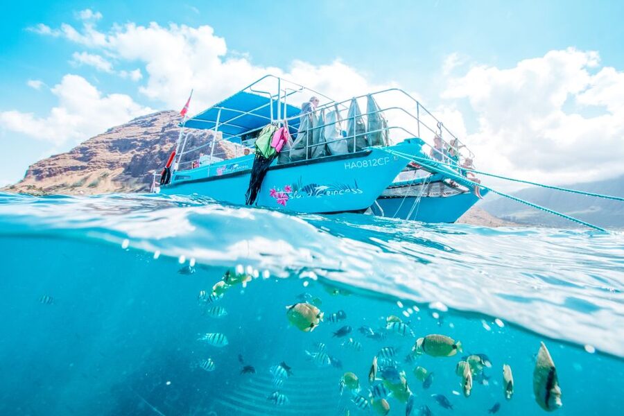 Oahu: Waikiki Turtle Snorkeling Adventure - FAQ