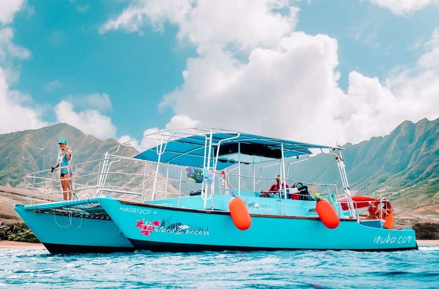 Oahu: Waikiki Turtle Snorkeling Adventure - Practical advice for a smoother morning