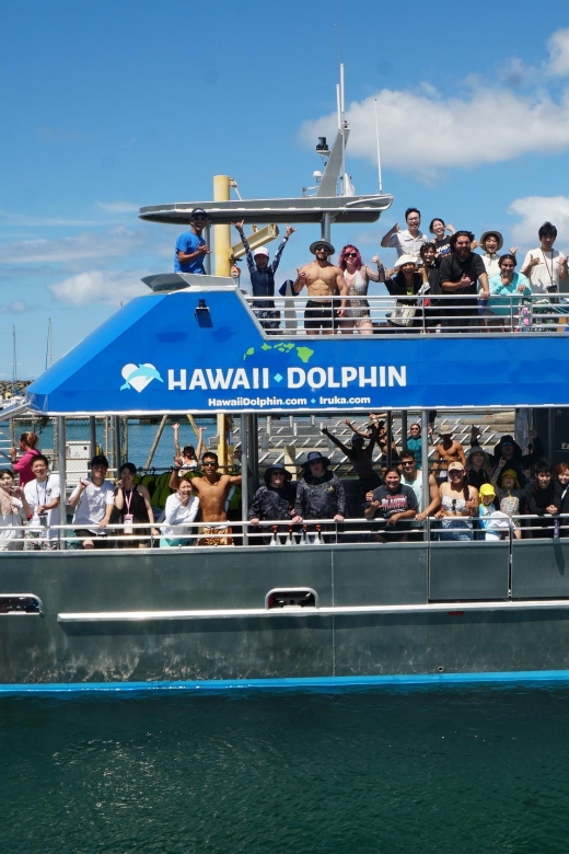Oahu: Wild Dolphins Swim Turtle Snorkel Tour & Waterslide - Who should book this Oahu boat tour?