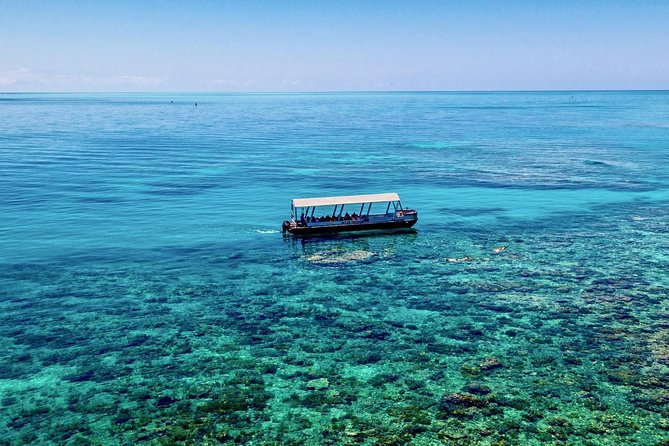 Ocean Freedom Great Barrier Reef Luxury Snorkel and Dive Cruise - Optional scuba sessions need advance thought