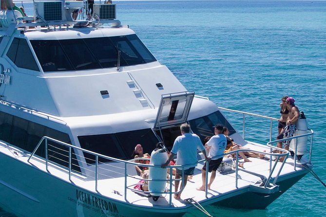 Ocean Freedom Great Barrier Reef Luxury Snorkel and Dive Cruise - Food makes the nine-hour schedule easier