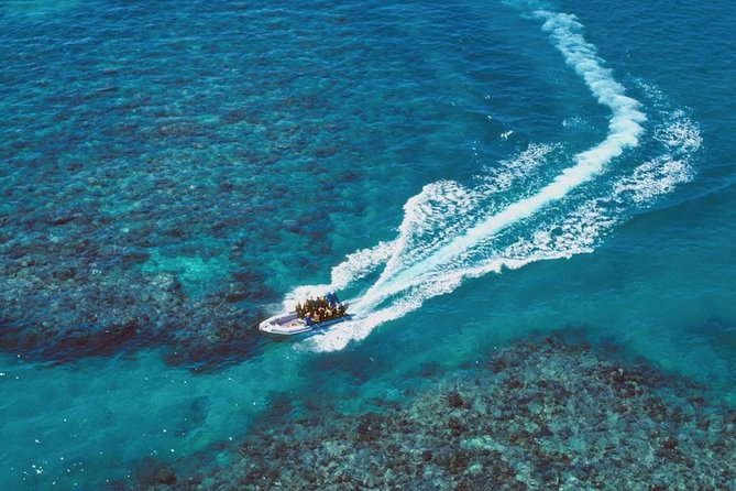 Ocean Freedom Great Barrier Reef Luxury Snorkel and Dive Cruise - Is $181.28 good value?