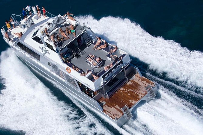 Ocean Freedom Great Barrier Reef Luxury Snorkel and Dive Cruise - Wonder Wall: the more dramatic first reef site