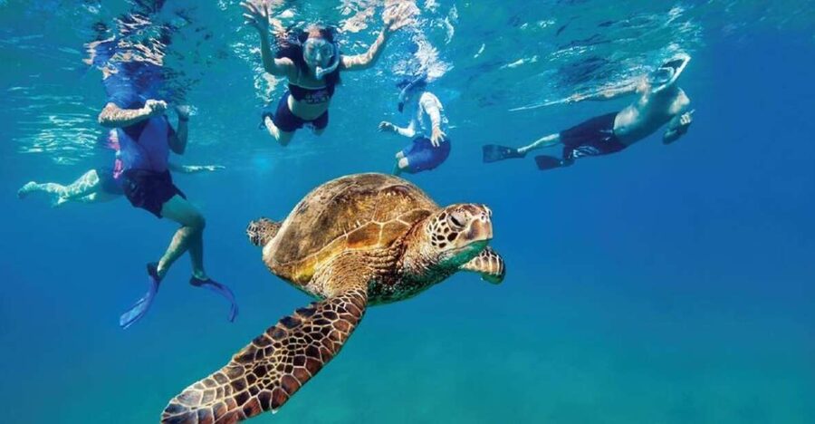Ocean Reef Snorkeling and Paddleboarding - What the Dania Beach start is like