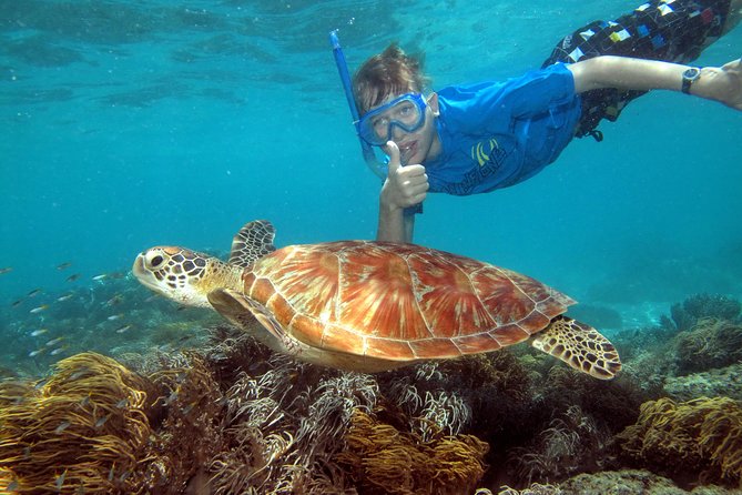 Ocean Spirit Sail to Michaelmas Cay Snorkel or Dive, from Cairns - Why Michaelmas Cay makes a good reef day