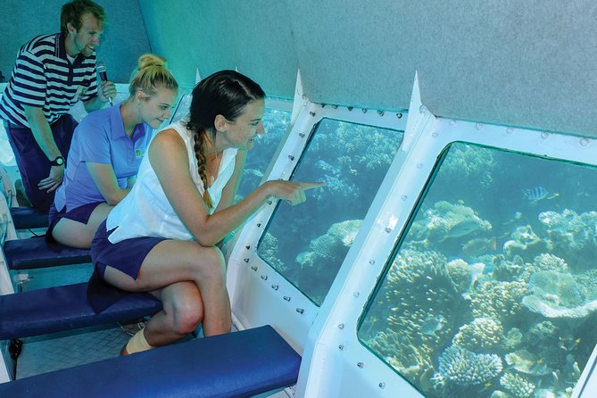 Ocean Spirit Sail to Michaelmas Cay Snorkel or Dive, from Cairns - The semi-submersible view from below the surface