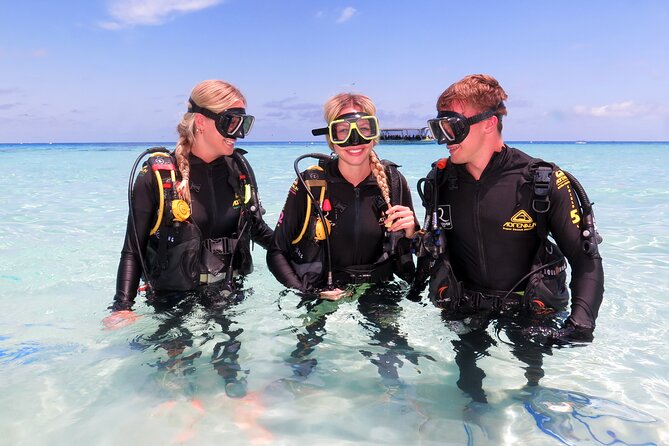 Ocean Spirit Sail to Michaelmas Cay Snorkel or Dive, from Cairns - Lunch, tea, and the return aboard