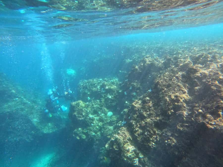 Okinawa: Blue Cave Private Snorkeling Tour with Guide - Coral Reefs at Maeda Cape