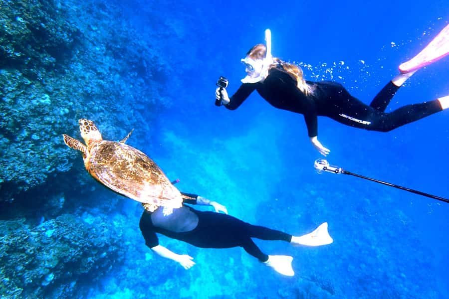 Okinawa: From Naha: Kerama Islands 1-day snorkeling tour - Coral, turtles, and the best wildlife chances