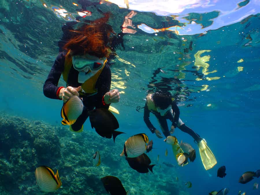 Okinawa : Kerama Whole Day Snorkeling Tour From Chatan/Naha - What happens at the three possible snorkeling stops