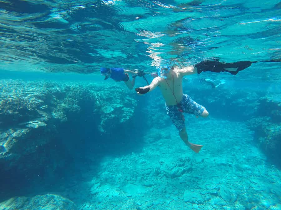Okinawa : Kerama Whole Day Snorkeling Tour From Chatan/Naha - Sea turtles, coral, and the luck factor