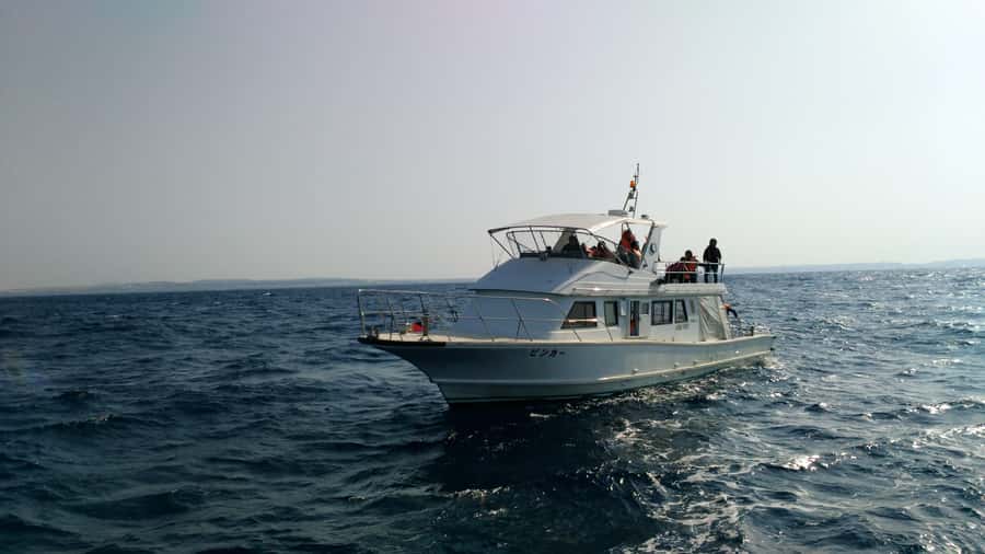 Okinawa : Kerama Whole Day Snorkeling Tour From Chatan/Naha - Who should book this Kerama trip?