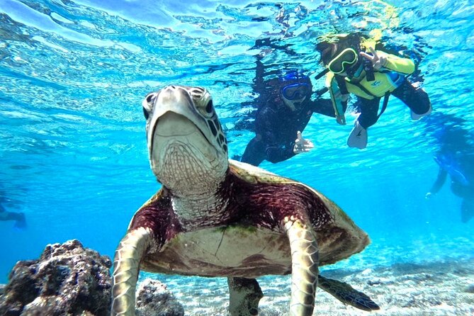 Okinawa Miyako Beach SUP or Canoe and sea turtle Snorkeling - Two ways to meet Miyakojima’s famous sea