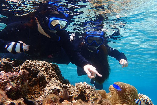 Okinawa Miyako Beach SUP or Canoe and sea turtle Snorkeling - A six-hour schedule with three departure choices