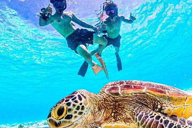 Okinawa Miyako Sea turtle Snorkeling Free Pick up and Drop off - Quick points before you book