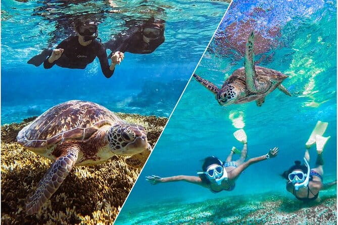 Okinawa Miyako Sea turtle Snorkeling Free Pick up and Drop off - What this Miyakojima snorkeling tour is really about